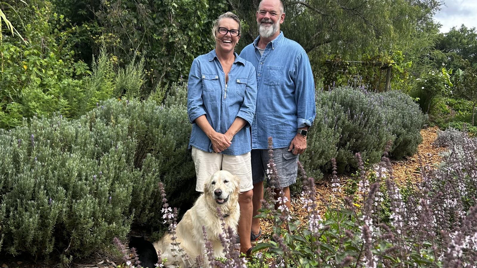 A smiling man and woman in matching blue shirts stand among lavender bushes with a golden retriever sitting in front of them and a black cat at the bottom left